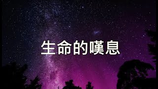 (伴唱MMO版)《生命的嘆息》- 凌東成