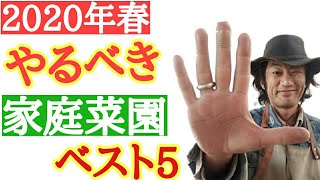 【２０２０年最新版】店長が教える　「家庭菜園植えるべき野菜苗　ベスト５」　これさえ見れば今年のおすすめトレンドがわかります！　迷われている方必見です！