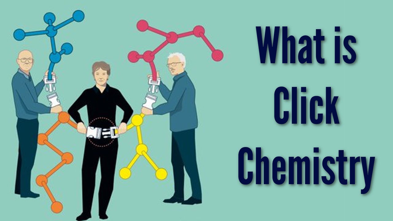 What Is Click Chemistry And Bioorthogonal Chemistry | The 2022 Nobel ...