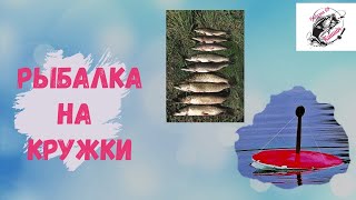 Рыбалка на кружки