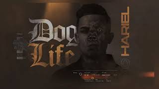 MC Hariel - Dog Life (DJ 900)