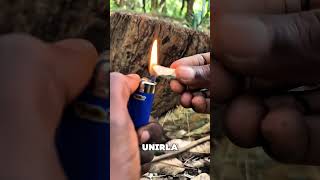 Truco Para Encender Fuego En El Bosque 😱🫡