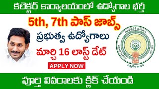 5వ తరగతితో కలెక్టర్ కార్యాలయంలో ఉద్యోగాలు | వికలాంగులకు ఉద్యోగాలు | District Collector's Office