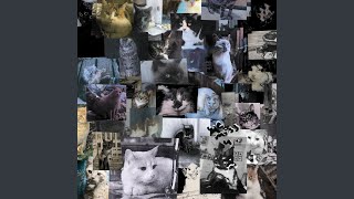 lost + found