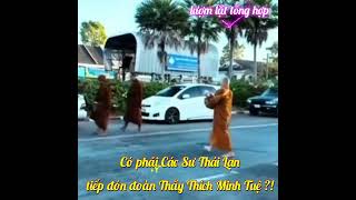 Các Sư Thái Lan đón tiếp đoàn Thầy Thích Minh Tuệ ?! #thichminhtue #thầythíchminhtuệ #phatphap