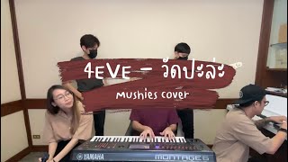 MusicConcept for Musicians | วัดปะหล่ะ? - 4EVE  (TEST ME) I Cover by MUSHIES