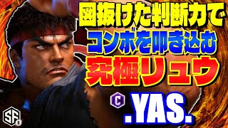 【スト6】図抜けた判断力でコンボを叩き込む究極リュウ .YAS. (リュウ) 【SF6】