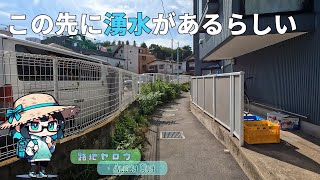 [tokyo alley walk] spring (not saying that water is springing) and spring (springing) culvert