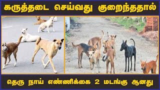 கருத்தடை செய்வது குறைந்ததால் தெரு நாய் எண்ணிக்கை 2 மடங்கு ஆனது | Street Dogs