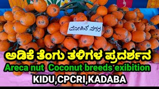 ಅಡಿಕೆ ತಳಿಗಳು,ತೆಂಗು ತಳಿಗಳು,areca nut breeds, coconut breeds, areca nut farming,coconut products,coco