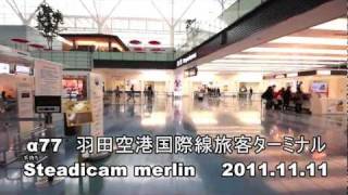 α77 Steadicam merlin 羽田空港国際線旅客ターミナル