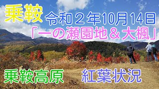 乗鞍高原－紅葉状況　一の瀬園地の大楓とその周辺の紅葉状況。（2020.10.14）