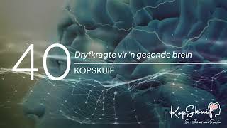 Oggendoordenkins - Kopskuif - 40 - Dryfkragte vir 'n gesonde brein