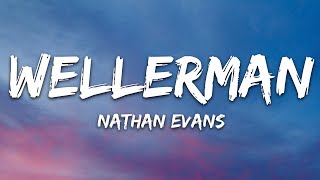 Download Lagu Nathan Evans Wellerman... MP3 Gratis