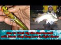 Best Technique for catching Big size Barramundi with Storm Chug Bhug Lure at night hours