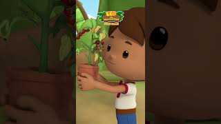 Path of the Praying Mantis! 🦗 | Leo the Wildlife Ranger | #shorts #education #kids