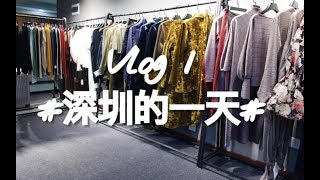 【Cindy的旅行日记】|Vlog英国海龟在深圳周末的一天，探店+萌宠+美食