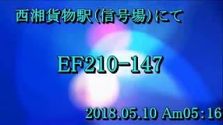 東海道線　EF210 147　鴨宮・国府津間　西湘貨物駅　　2018 05 10　Am05:16