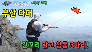 [상구]부산 나무섬 참돔낚시 하기좋은 포인트 병풍바위