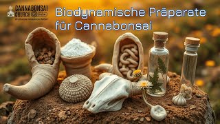 🌱 Biodynamische Präparate für Cannabis-Bonsai – Kompost \u0026 Blüte fördern + Gartenrundgang 🌿