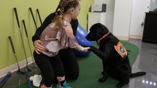 Meet Vandy, Mary Free Bed’s animal-assisted therapy dog