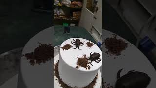 Cockroach cake, how to make a cockroach cake, Cockroach birthday cake,  Pardeep cakes #shorts #mash