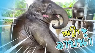 หญิงอาบน้ำกรี๊ดกร๊าด❗️บัวบานน่ารัก😂elephant