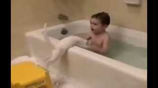 Mahmoud Eed Videos