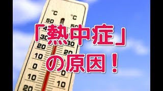 【熱中症の原因】体質改善