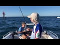 how to catch baitfish moreton bay