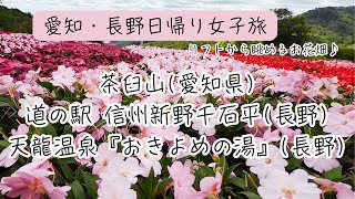 【#女子旅 】茶臼山・道の駅 信州新野千石平・天龍温泉「おきよめの湯」　のんびり日帰り旅！