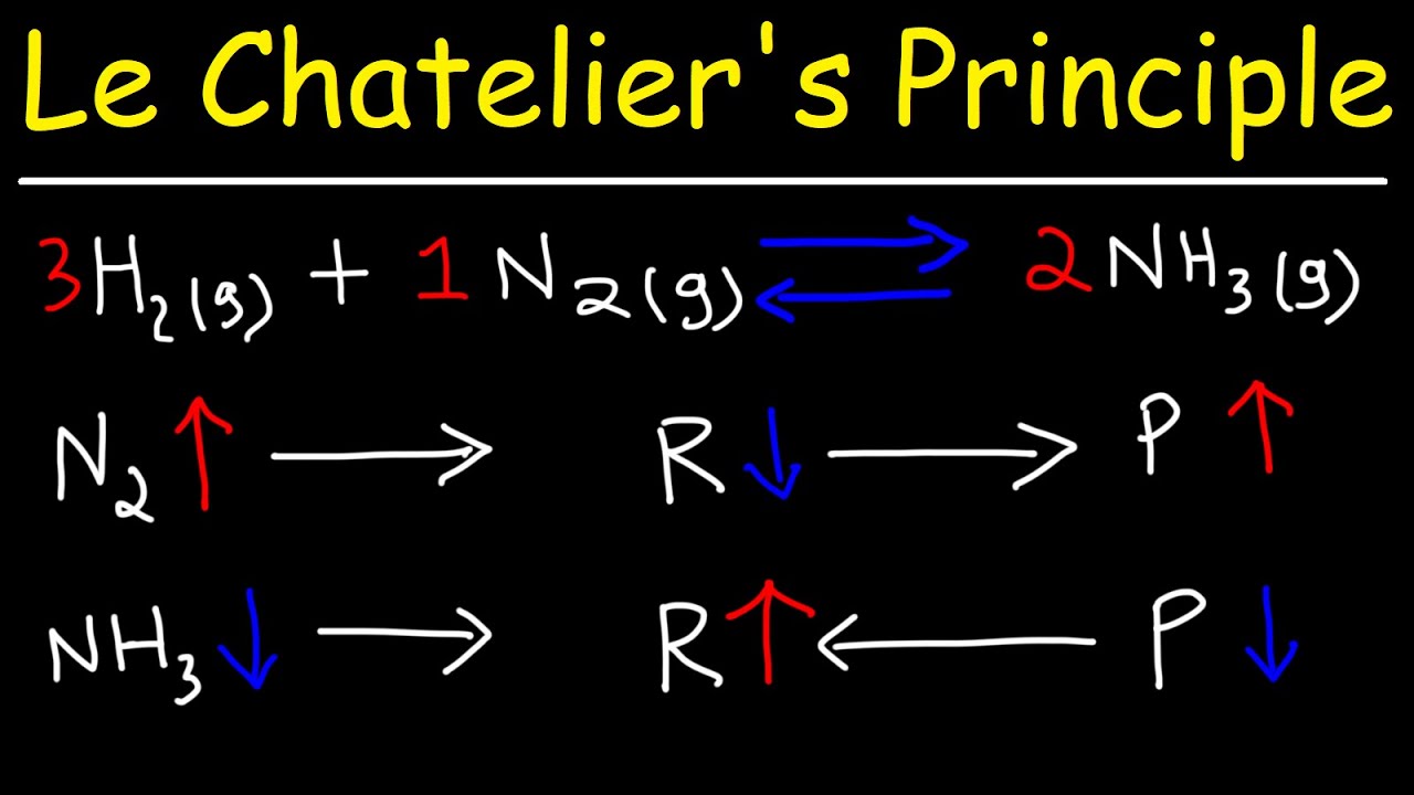 O Que Diz O Princípio De Le Chatelier - ENSINO