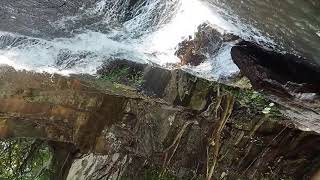 Feel the beauty of nature😍|Pacheri Waterfall | Bolani |Keonjhar #waterfall#bolani