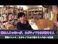 【あなたの人生は周りの人で決まる”隣人の科学”】稼ぎや仕事の能力まで変えてしまう隣人の秘密をご紹介！もし悪い関係があったら、とても損なので距離を取るようにしておきましょう！【daigo 切り抜き】