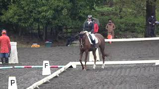 第5８回東都学生馬術大会　新人馬場馬術競技　2年　石原衣梨＆桜虎