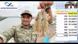 Important Tips On Shrimp Feed Management (Telugu)