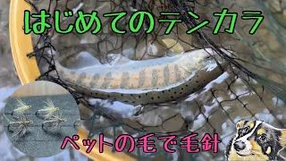 初めてのテンカラ！　愛犬で巻いた毛針の実力は？　ならここの里キャンプ場隣接