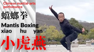 TangLangQuan【蟷螂拳　小虎燕】Mantis Boxing Tiger-Swallow