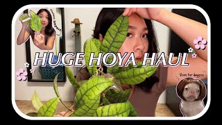 HUGE Hoya Import from Thailand | Unbox with me