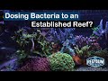 Potential Benefits of Dosing Bacteria to an Established Reef Tank