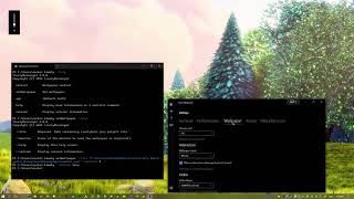 Lively v1.1.9 Update Preview: Command line support