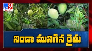 అకాల వర్షాలతో నిండా మునిగిన రైతు - TV9