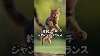 しっぽの役割は？尻尾の長い猫ベスト10 #shorts