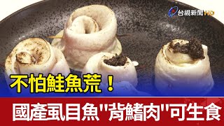 不怕鮭魚荒！國產虱目魚\