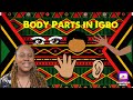 Igbo pronunciation of parts of the body #igbo #viral #bodyparts #partsofthebody