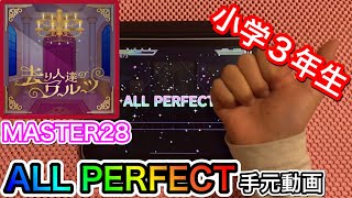 【プロセカ】去り人達のワルツ《MASTER 28》【ALL PERFECT FULL COMBO】プロジェクトセカイ カラフルステージfeat.初音ミク