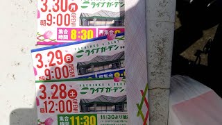 ライブガーデン宇都宮桜店グランド整理券速報横丁で北斗無双・猛爆死➖116862円