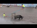 bull fight in beach _ tourada areal da praia 2017 com marradas e cenas engraçadas