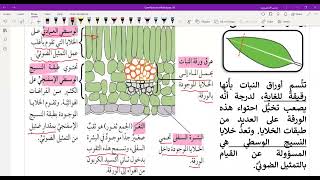 أساسيات مادة العلوم للصف الثامن (الجزء الاول)