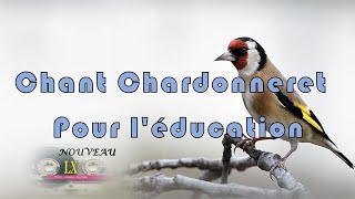 Chant Chardonneret Pour l'éducation - الاستاذ المعلم👌